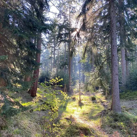 Gencjana Отель типа 