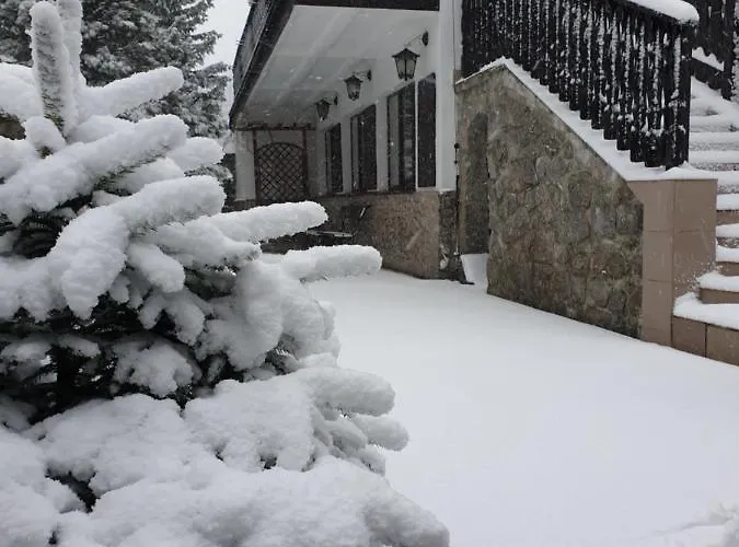 Gencjana Готель типу 