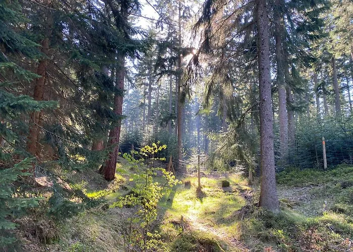 Gencjana Готель типу 