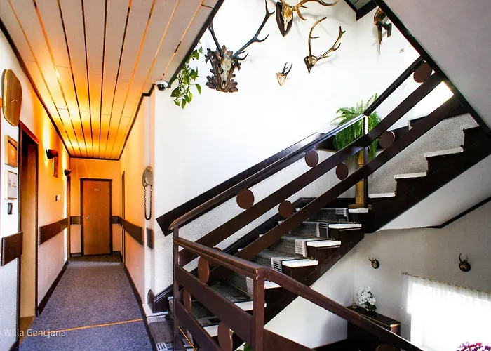 Готель типу 